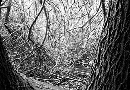 przyroda twk-jesień-09