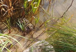 przyroda twk-jesień-12