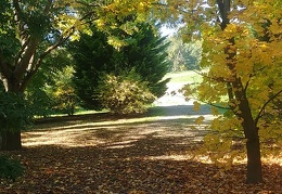 przyroda twk-jesień-14