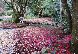 przyroda jesien 2022 twk 18