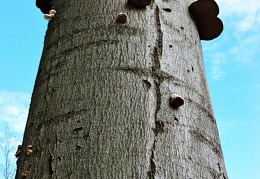 przyroda jesien 2022 twk 19